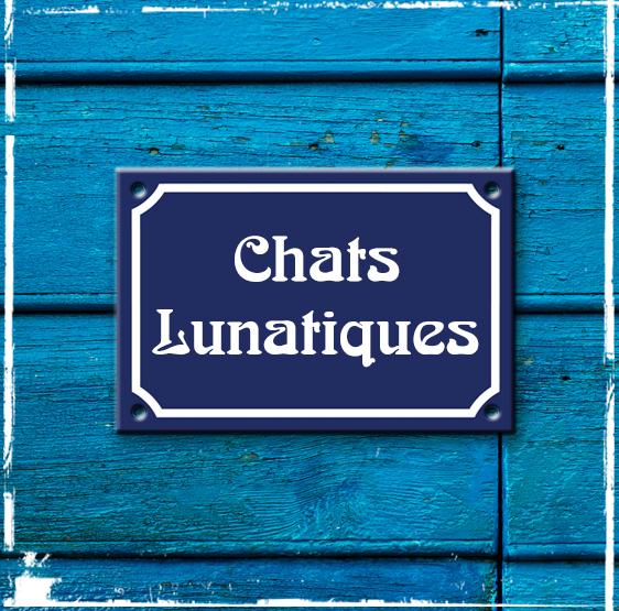 Chats Lunatiques is now back in stock.