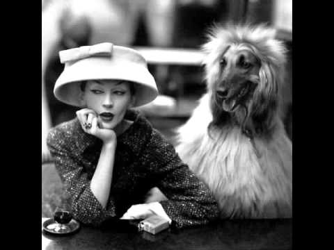 Dior New Look et Chien