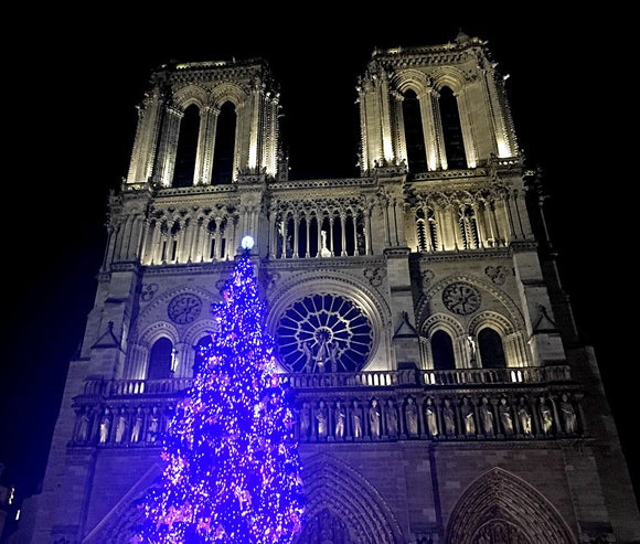 Notre-Dame Christmas 2021