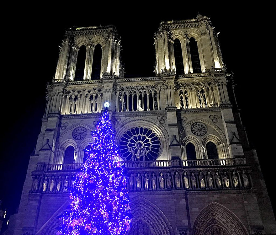Notre-Dame Christmas 2021