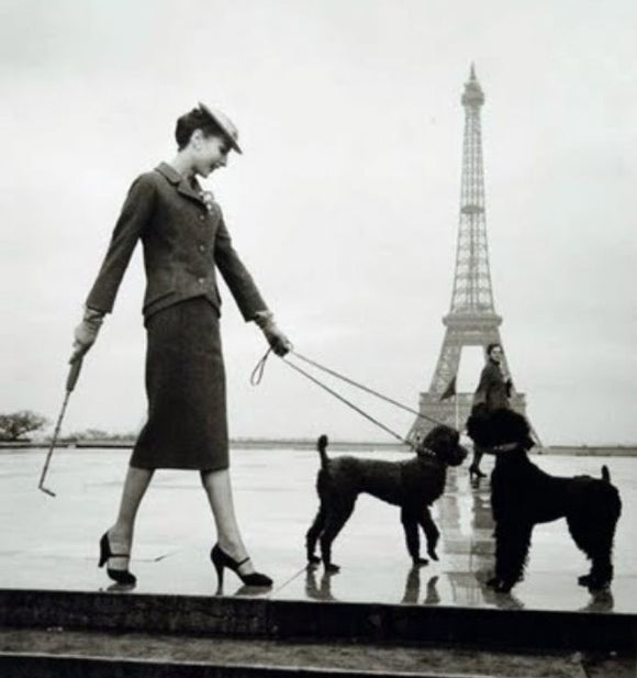French Fashion # 1Photographer ~ Louise Dahl-Wolfe