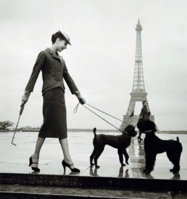 French Fashion # 1Photographer ~ Louise Dahl-Wolfe